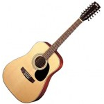 12-струнная гитара Eurofon GSW 110/12