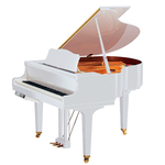 Дисклавир YAMAHA DGC1E PWH