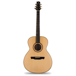 Акустическая гитара ALHAMBRA A4AB