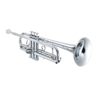 Труба JUPITER JTR1102RS