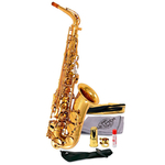 Саксофон SELMER SA 80 II A