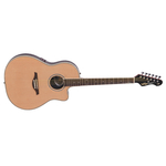 Гитара VINTAGE VR6N