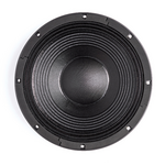 Динамик B&C Speakers 12NW100