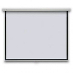 Экран Adeo Professional Vision White 233x175​