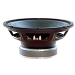 Динамик BIG SYP1002, фото 