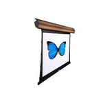 Экран AV Screen SM133BXH-C(R)NEW 133", фото 