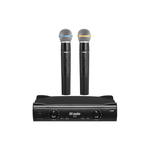 Радиосистема DV audio H-2 Dual