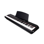 Цифровое фортепиано Pearl River P60BK