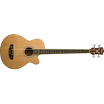 Акустическая бас-гитара Washburn AB5