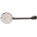 Банджо Washburn B6