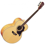 Акустическая гитара Washburn J28 SDL