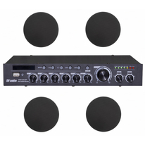 Комплект звука DV audio DMA1204CMG6B для помещения до 120 м.кв