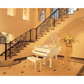 Дисклавир Yamaha DC1A PWH