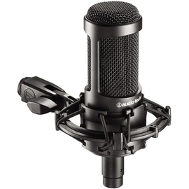 Микрофон студийный Audio-Technica AT2035