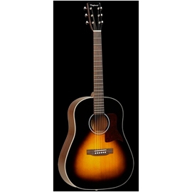 Электрогитара гитара Tanglewood TW40 SD VS E