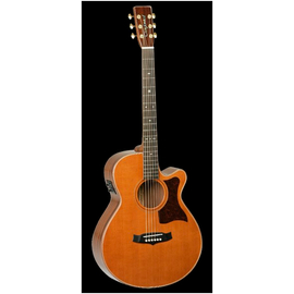 Электроакустическая гитара Tanglewood TW45 H E