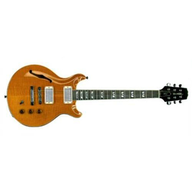 Электрогитара HAMER USA GATA