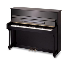 Фортепиано PEARL RIVER PIANO UP118M Ebony  A111