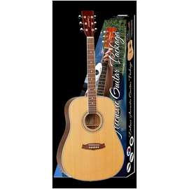 Гитара в комплекте Tanglewood DBT DLX D LH
