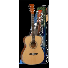 Гитара в комплекте Tanglewood DBT DLX F LH