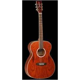 Вестерн гитара Tanglewood TFA XB E