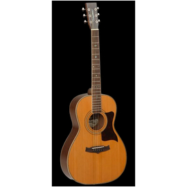 Вестерн гитара Tanglewood TW173