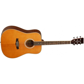 Вестерн гитара Tanglewood TW28 CLN