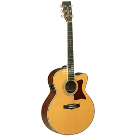 Электроакустическая гитара Tanglewood TW55 NS E