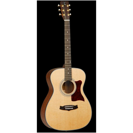 Вестерн гитара Tanglewood TW70 NS