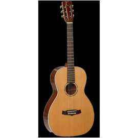 Вестерн гитара Tanglewood TW73 PRO SPEC