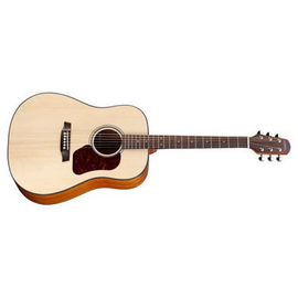 Акустическая гитара WALDEN D555