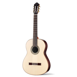Классическая гитара WALDEN N2010/HA