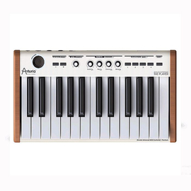 Миди-клавиатура ARTURIA THE PLAYER / Analog Experience 25, фото 