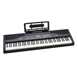 Цифровое пианино FARFISA DP-300