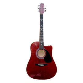 Акустическая гитара HORA W-12204 ctw