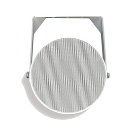 Звуковой прожектор  FBT Audio contractor  CAP 15 WT