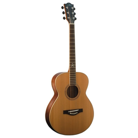Акустическая гитара EKO Ranger 018