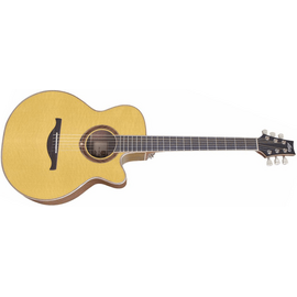 Электроакустическая гитара LAG 4_Seasons-200 BCE
