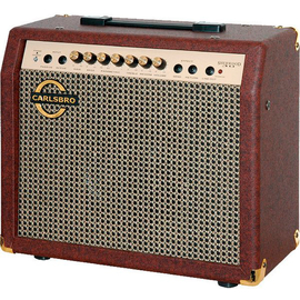 Комбо-усилитель для гитары CARLSBRO SHERWOOD 60R (ACOUSTIC)