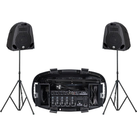 Активная акустическая система CARLSBRO TRAVELLER DSP300