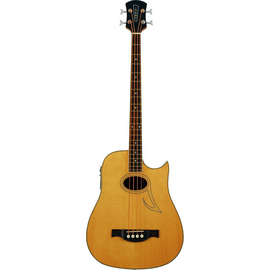 Бас-гитара EKO Florence EQ - Black