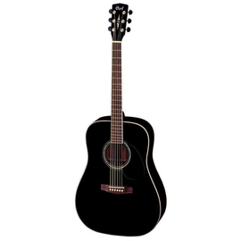 Акустическая гитара CORT Earth100 BK