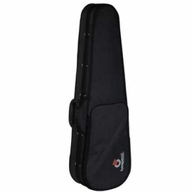 Кейс, футляр для скрипки BESPECO FOAM-900VI