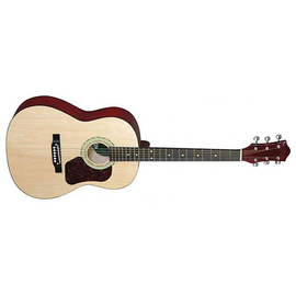Акустическая гитара MAXTONE 4102C