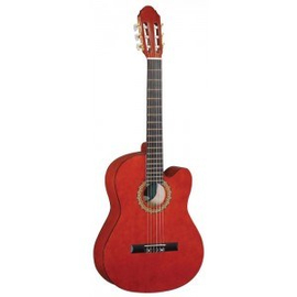 Классическая гитара MAXTONE CGC3910C