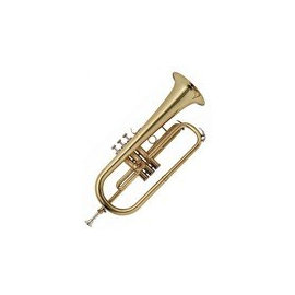 Флюгельгорн  MAXTONE TFC94L