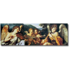 Декоративная панель ROLAND OPC-30-PB01