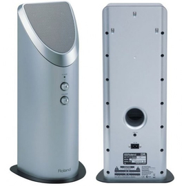 Монитор ROLAND PM01