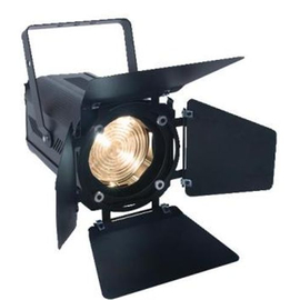 Светодиодный прожектор Elation ELED Fresnel 100 WW