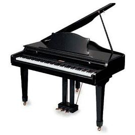 Цифровое пиано Dynatone GPS1200 EBP